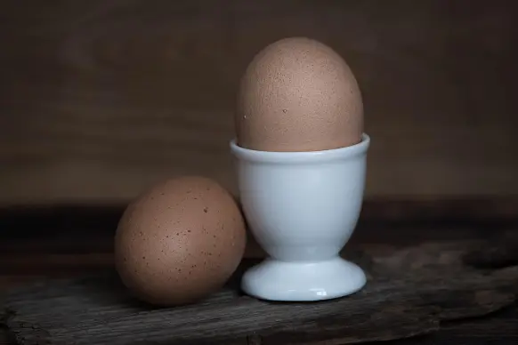 egg 1374141 12801 (582x388)