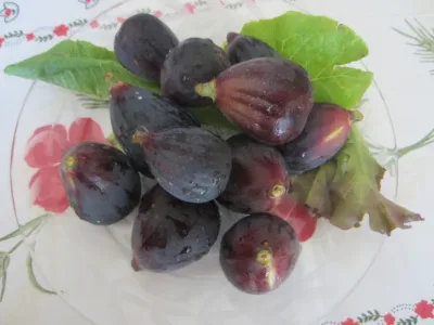 The Season Is Figs