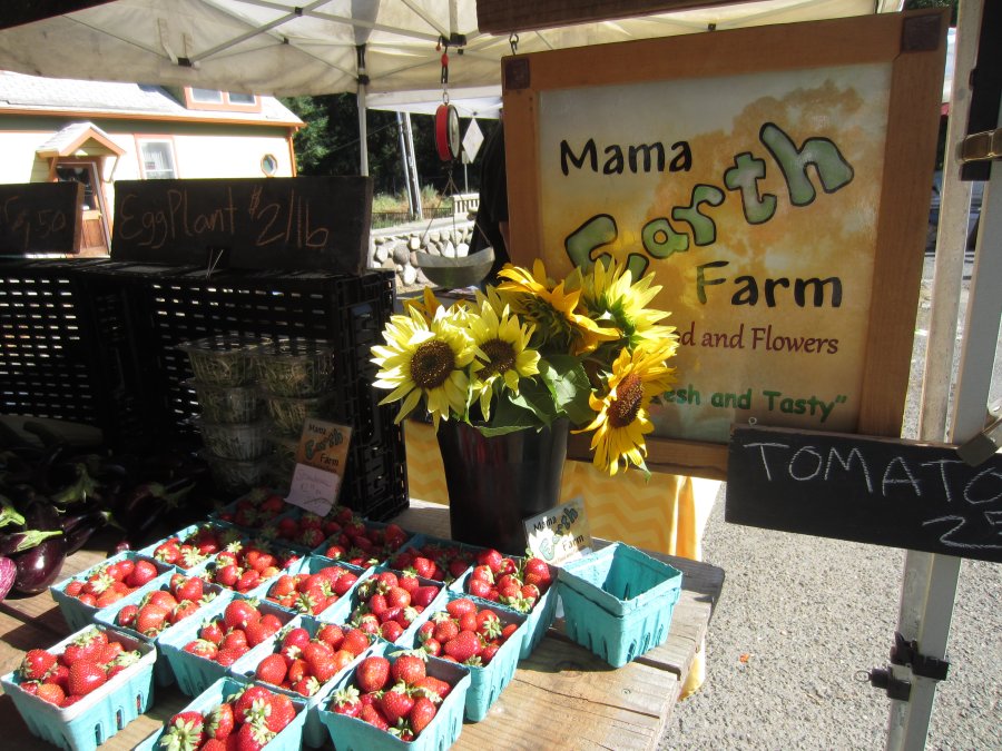 pville f mkt tomatoes (900x675)